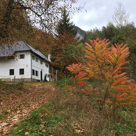 Forsthaus Gut Traunfried Villa Ramsau am Dachstein Kültér fotó