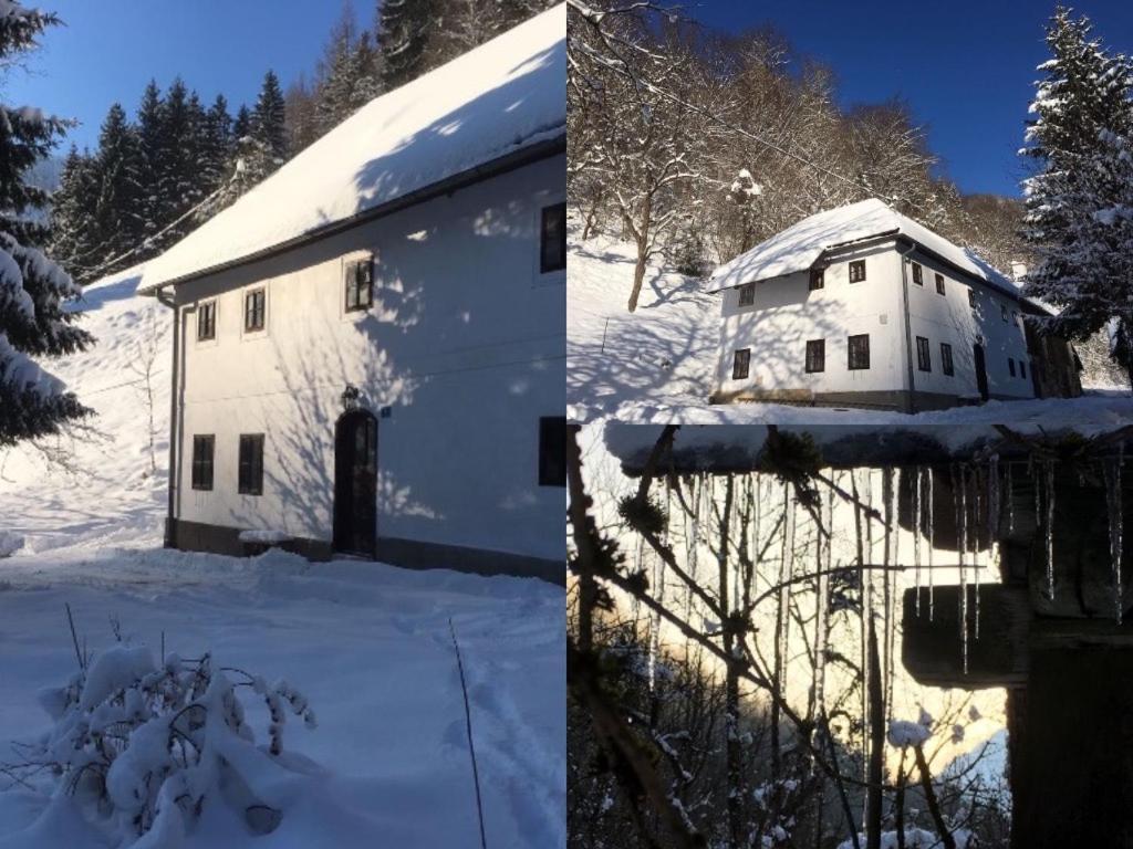 Forsthaus Gut Traunfried Villa Ramsau am Dachstein Kültér fotó