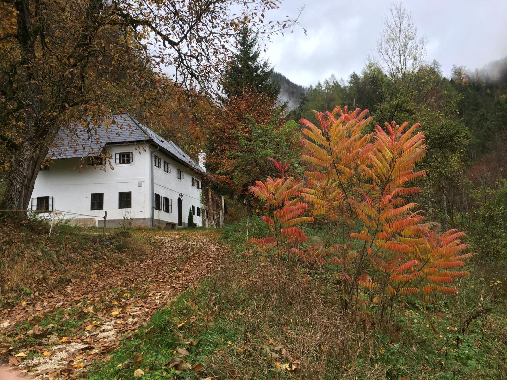 Forsthaus Gut Traunfried Villa Ramsau am Dachstein Kültér fotó